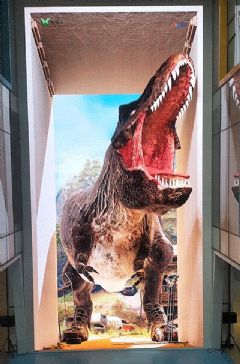 ���֡��Ļ�+�Ƽ����ں�֮�������������й�V��������