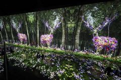 巴可 |唤醒 · 全沉浸式体验“永恒的自然”