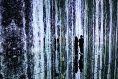 巴可 |唤醒 · 全沉浸式体验“永恒的自然”