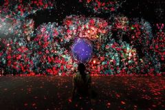 巴可 |唤醒 · 全沉浸式体验“永恒的自然”