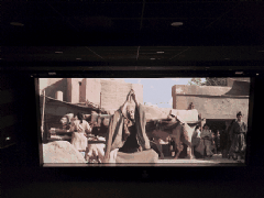 ����RGB���¡����ֶػ͡���չʾ��Ѥ����Ī�߿߷������