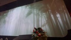 揭秘|曝光量破亿的沉浸式文旅项目是怎样炼成的?