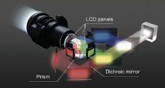 ����Showcase | ��������������ã����Ƕѡ����ֶ�й��Ļ�ʢ��