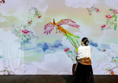 �Ϳ�ͶӰ����ʹ������ơ����ص������������Ϻ�չ