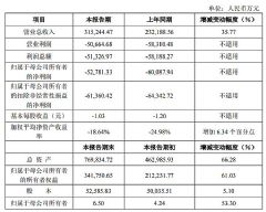 оԭ�ɷ�2025��Ӫ����35.77%��31.52��