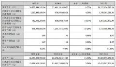 ��Դ�ɷ� 2025 ��Ӫ�� 243.54 ��Ԫ