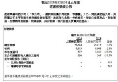 ��ά����2025��Ӫ��703��Ԫͬ��8.2%