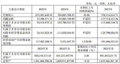 ��ƴ�2025��ҵ��Ť��Ϊӯ Ӫ��6.72��