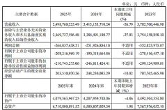 ���ڹ��2025�걨��Ӫ��24.99��Ԫ