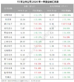 ���������ǵµ�15����¶2026Q1ҵ��