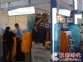 ӳɹμIFSEC2009Ӣչ