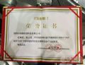 朗驰欣创荣获“2013深圳国际智能交通展ITS金狮奖”