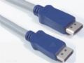 支持厂商方针转换 DisplayPort未来形势不明