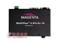 tvONEչʾMagenta MultiView II DVI