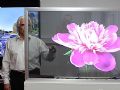 艾维视推出可触摸透明OLED显示屏