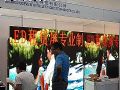 大景光电LED租赁屏登陆PALM 2016展