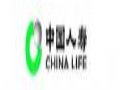 56iq数字标牌助力大连人寿保险升级网点服务