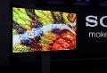 索尼将在CES2017推4K OLED电视的消息基本确定了