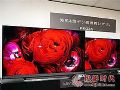 东芝将推M500系列电视升级版M510系列