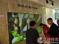 全面进入4K时代 海信4K激光电视开启普及模式