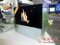 LGƳֽOLEDֱ InfoComm China