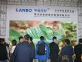 LANBO“平板投影” 为颠覆视界而来