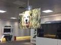 LG OLED双面屏项目落户上海--开启实际应用进程
