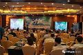 高端会议显示:为什么投影机10000流明亮度,显示效果依然让你无法满意?