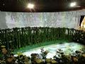 AVANZA 帅映再铸新莫奈印象