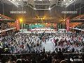 音王唱响2017年中国文化馆年会