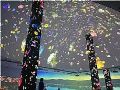 沉浸式方案,会是数字展示领域下一个热点吗?
