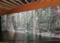 商用显示行业2017年十大新闻点评