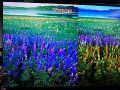 DLP拼接新进步,IFC2018展现“宝刀不老”
