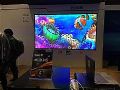 4K投影普及的冲锋号,IFC2018很嘹亮