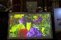 关爱学生健康用眼 NEC推出CU4200WD护眼教育投影机