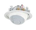 Cabasse IO2 In Ceiling