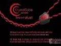 单结晶银导体:Crystal Cable Dream Duet耳机升级线