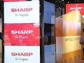 夏普中国预计2019年收入增20%
