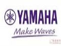 ȫƷƳŵMake?Waves