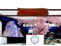 赢康将参展IAAPA亚洲博览会,光影夜游与您相约