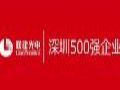 联建光电再次入选深圳企业500强,助力企业品牌化建设!