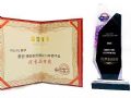 实力体现 Voury卓华荣获大屏行业“优秀品牌、经典案例”两项大奖