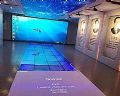 东方中原参与郑州禁毒局禁毒文化展厅
