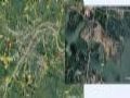 学习不延期 从地理视角认识新型肺炎疫情