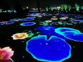 赢康参与南海公园梦幻光影艺术互动投影