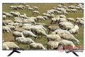 低至1499元 55寸海信H55E3A电视便宜入手