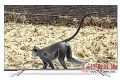 不足四千元 65寸海信HZ65E5D电视超值热售中
