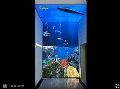 雷曼COB超高清天幕屏打造沉浸式观赏体验