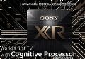 ᲻Ѱ·:֪оƬCognitive Processor XR