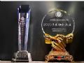 利亚德荣获“首安杯”2020年北京安防优质应用品牌奖